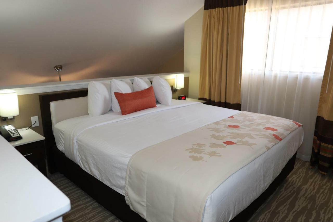ฮอว์ทอร์น สวีท บาย วินด์แฮม ดีทรอยต์ เซาท์ฟิลด์ Hotel ภายนอก รูปภาพ